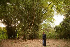 SPIRIT (2010) "After my mother’s death and my grandmother’s death, my great-grandmother was raising me.  I was seven the first time she brought me to the sacred grove in Oshogbo.  She told me, 'this forest is a place where Yoruba people practice their traditional beliefs and ask for what they need.'  Right away I felt like there was a real spirit inside this grove.'
