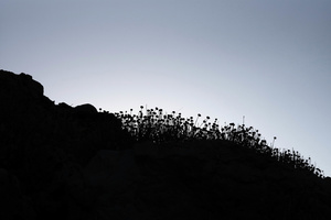 fourth morning #05