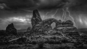 The Guardian