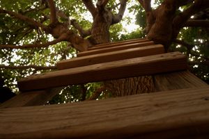 Way to the sky