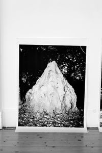 I Promised You Golden Mountains #4