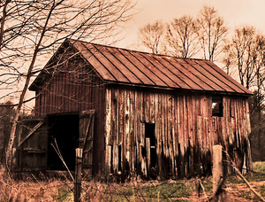 Weathered Barn-                              Otsego County, NY