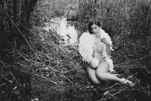 Leda
