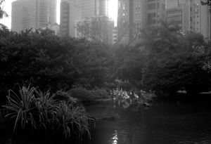 "Kowloon Park Hong Kong"