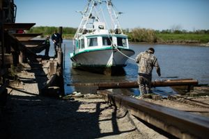 Preparation, from the project, Bayou © 2013 Paul Elledge