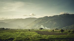 tazara.033