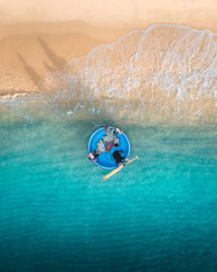 Anchovies' Journey: From Depths to Shores