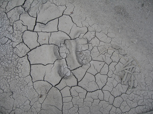 work boot prints in mud