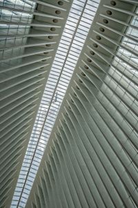 Through the Roof: WTC