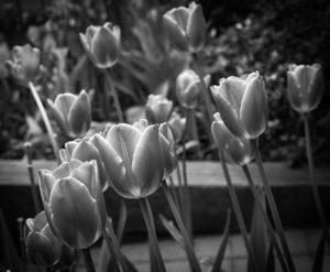 A Colloquy