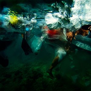 Human Waste III / Desecho Humano  III