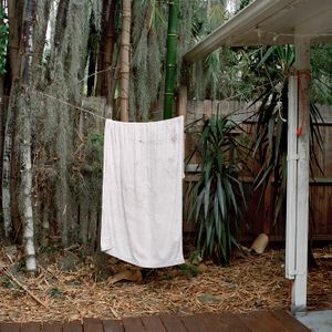 Warfare, Sarasota, Florida 2013