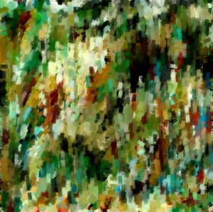 Metamorphosis 53