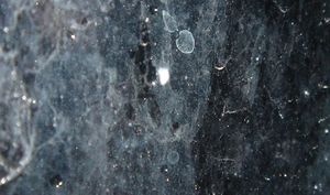 Behind the Glowing Facades 01
