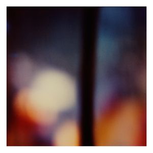 Twilight | The Secret Life of Plants VII