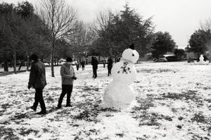 Pisa snowman