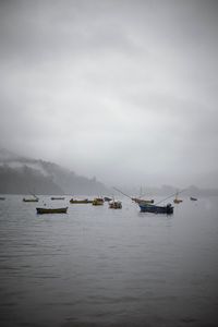 Untitled 3
