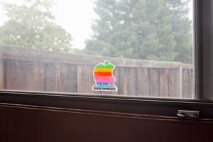 Estate Sale, Sunnyvale, California