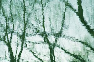Sounds of silence/Winter's sketch   トータルのタイトルはSounds of silenceです。これらの写真は水に映った風景です。つまり、水鏡の写真を逆転して提示したものです。私はこれらのシリーズ写真を撮影する上で、光と影そして、水に映る瞬間と水の流れによるものをカメラという機械装置でその時間（シャッタースピード）で描く絵を表現しています。つまり、私は、自然風景を、自然の川や湖などの水を見てその光と影で絵を描いていると言いたいのです。それは、写真的であり、また、photoであると言いたいのです。