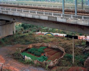 Drip Bucket, Hengyang Hunan, 2012 © Scott Conarroe