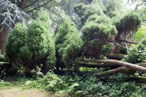 'Now, for the Garden' - Le Bois des Moutiers, Varangville-Sur-Mer, Normandy/France © Mireille Schellhorn 2012
