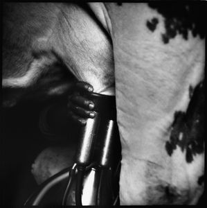 © romano p. riedo | fotopunkt.ch