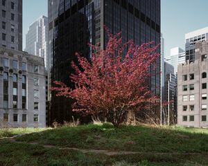 © Brad Temkin