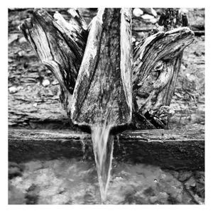 Listen to the water