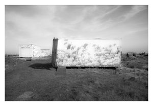 Dungeness #10