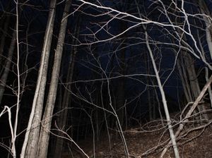 Gilmanton, N.H. © Matt Nighswander