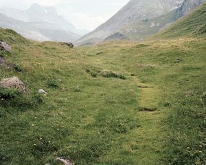 Meadow #2, inkjet print, 60"x75"