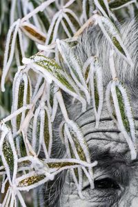 Winter Approaches