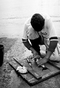 The cleaning, Ponta Delgada, Azores, Portugal, 2005