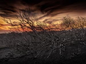 Broad Fire, 2024
