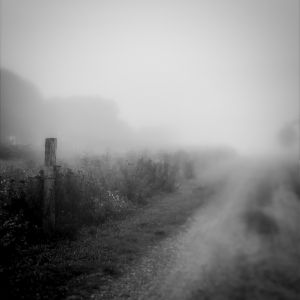 Untitled, 2017 (ref.9879)