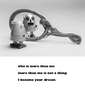 BotMerica68