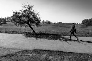 Hampstead Heath | 21