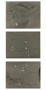 Plasmic Ripples 2012; unique silver gelatin prints mounted to anodized aluminum; 3 panels; each panel 11 x 14 in.;  © DM Witman