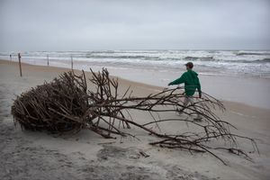 Beached after a Storm