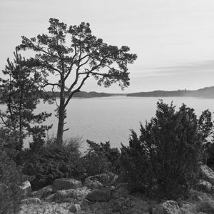 Baltic Sea 1