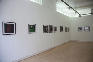 Installation, Broadbent Gallery, London