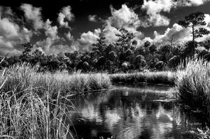 Barnett Creek