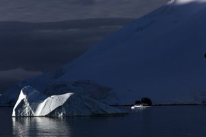 Antarctica X