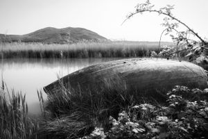 Lake of Vico (VT), April 2013