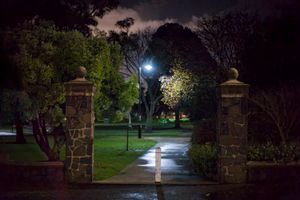 Untitled (park)