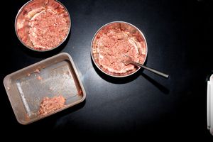 veganart