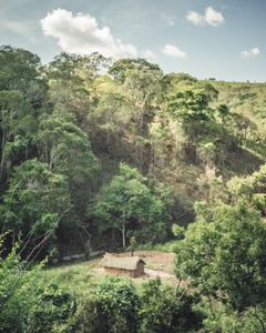 tazara.099