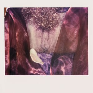 Vulva 8