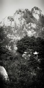 Pagoda in the Woods