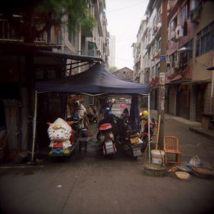Side Street Goat